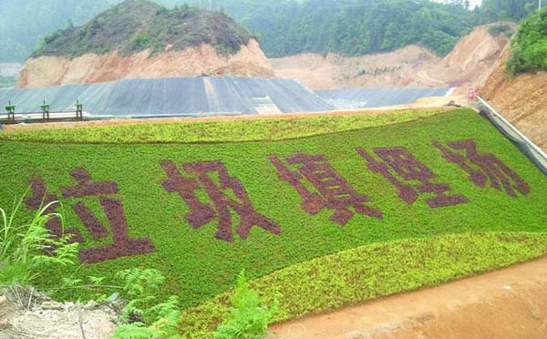 hdpe探花在线播放