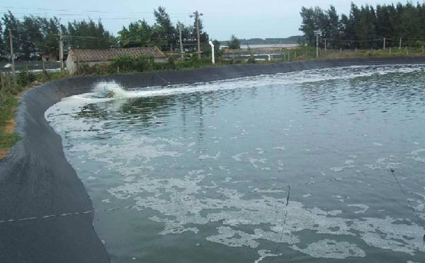 水池探花在线视频观看膜