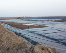 探花在线播放價格多少錢 土工探花在线视频观看膜多少錢一平方