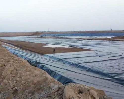 探花在线播放價格多少錢 土工探花在线视频观看膜多少錢一平方